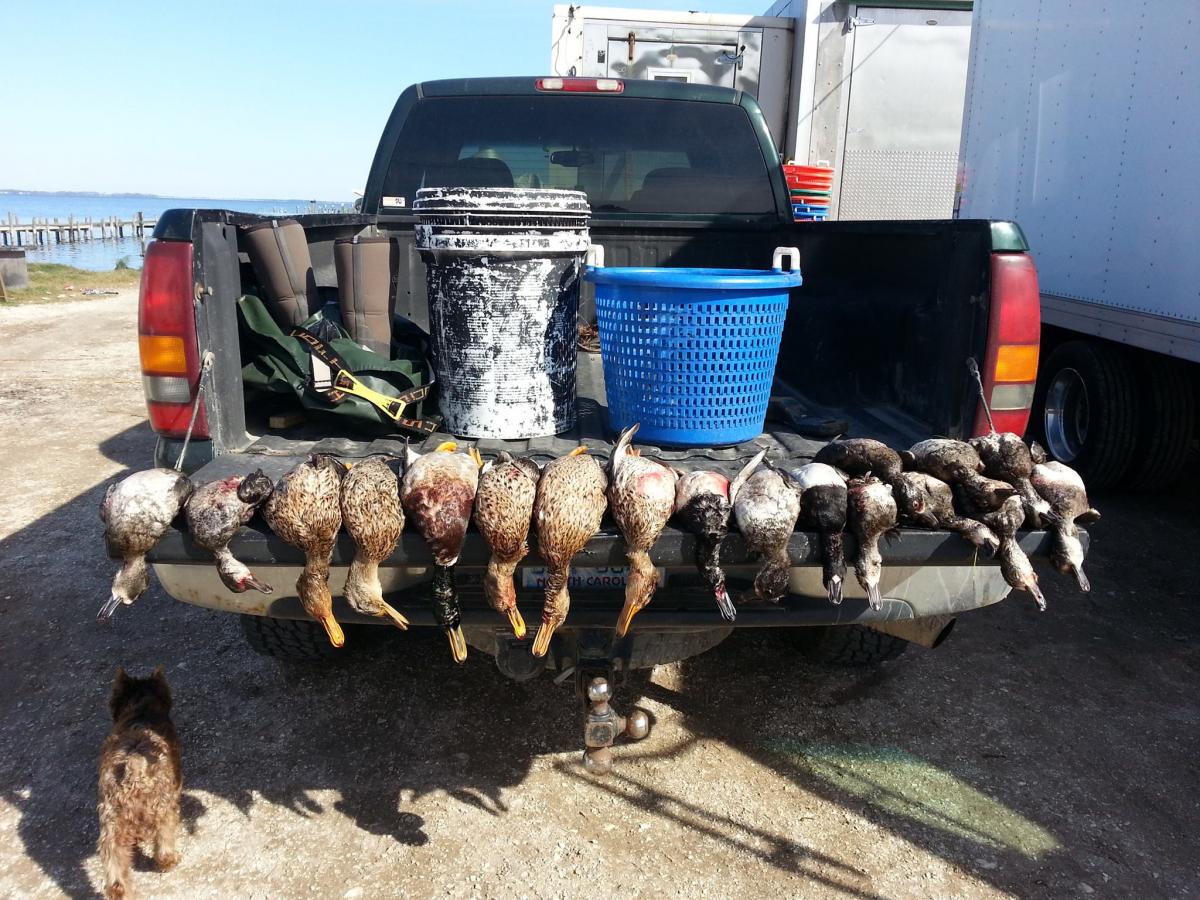 Currituck Duck Hunting 5