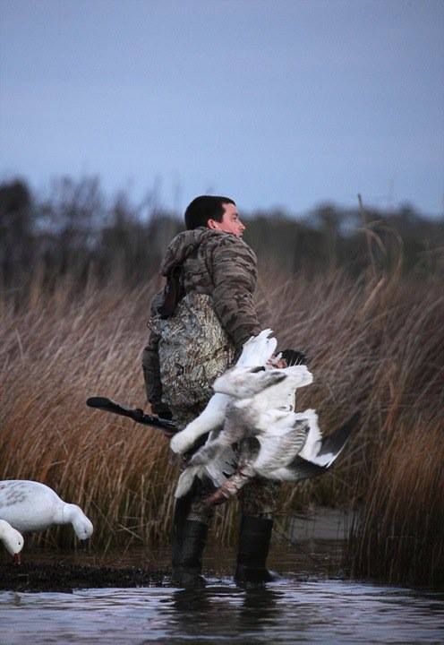 Currituck Duck Hunting 8